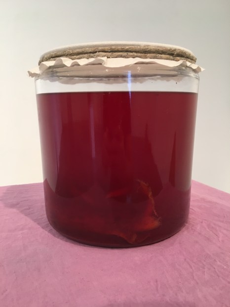 Kombucha_2