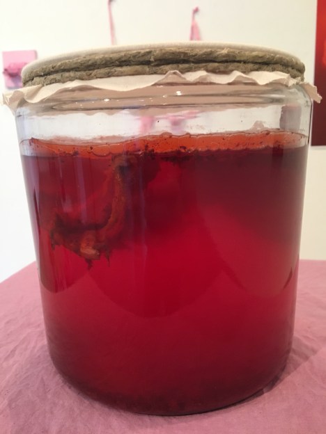 kombucha_6