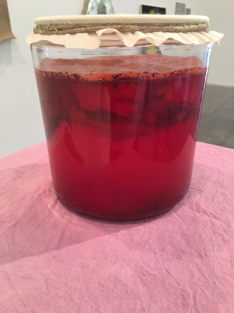 kombucha_8